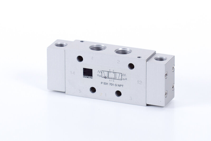 P 533 701 G NPT