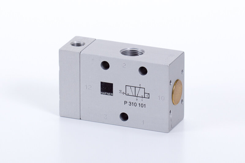 P 310 101